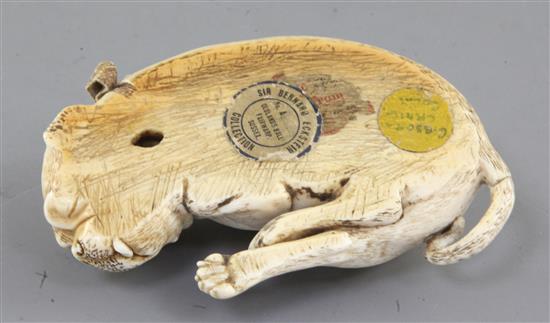 An early 19th century Dieppe carved ivory model of a sleeping Pug dog, 4.5in.
